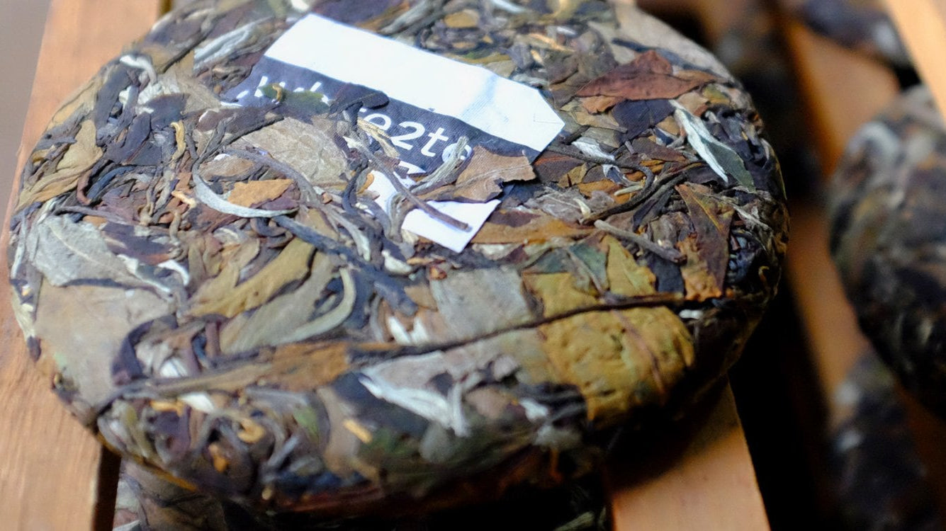 Happy Chinese New Year - Shipping Break Starting January 12th