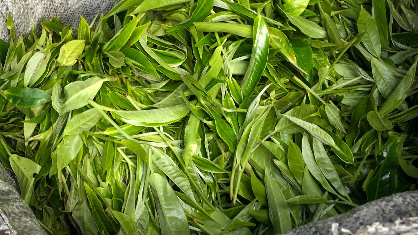 Mid-Autumn Festival & National Day Shipping Break