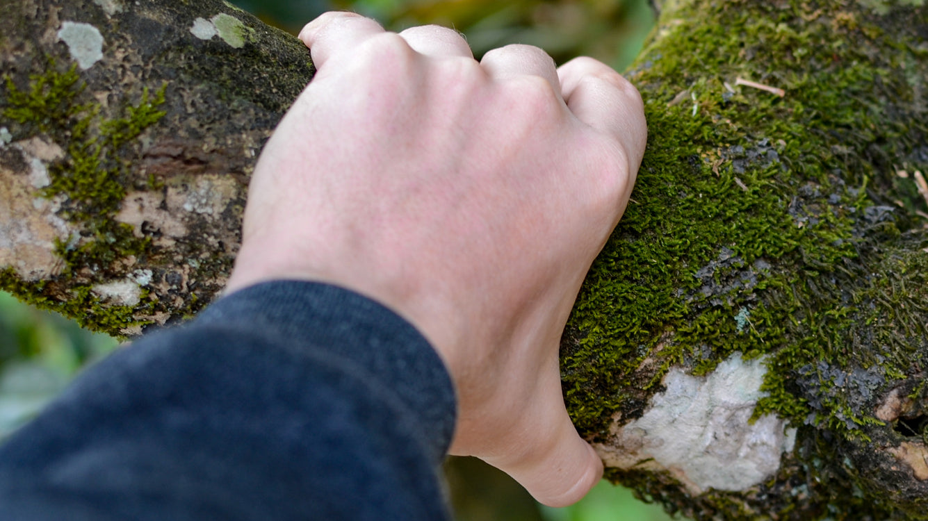 15 Years in China and a Little white2tea Backstory