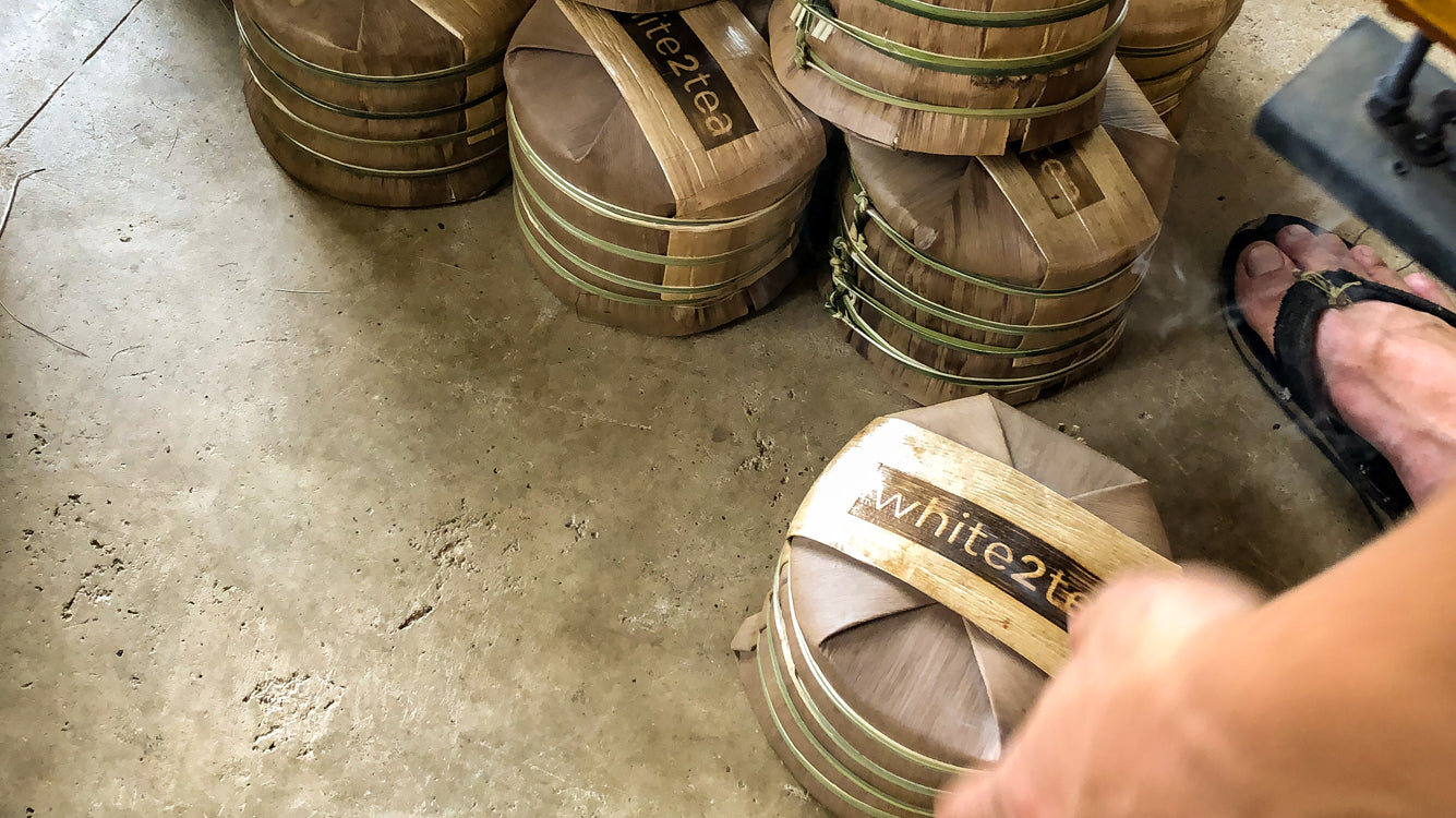 5 Golden Rules of Tea Storage