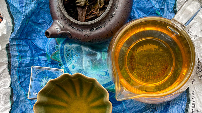 2023 Yearly Price Adjustments