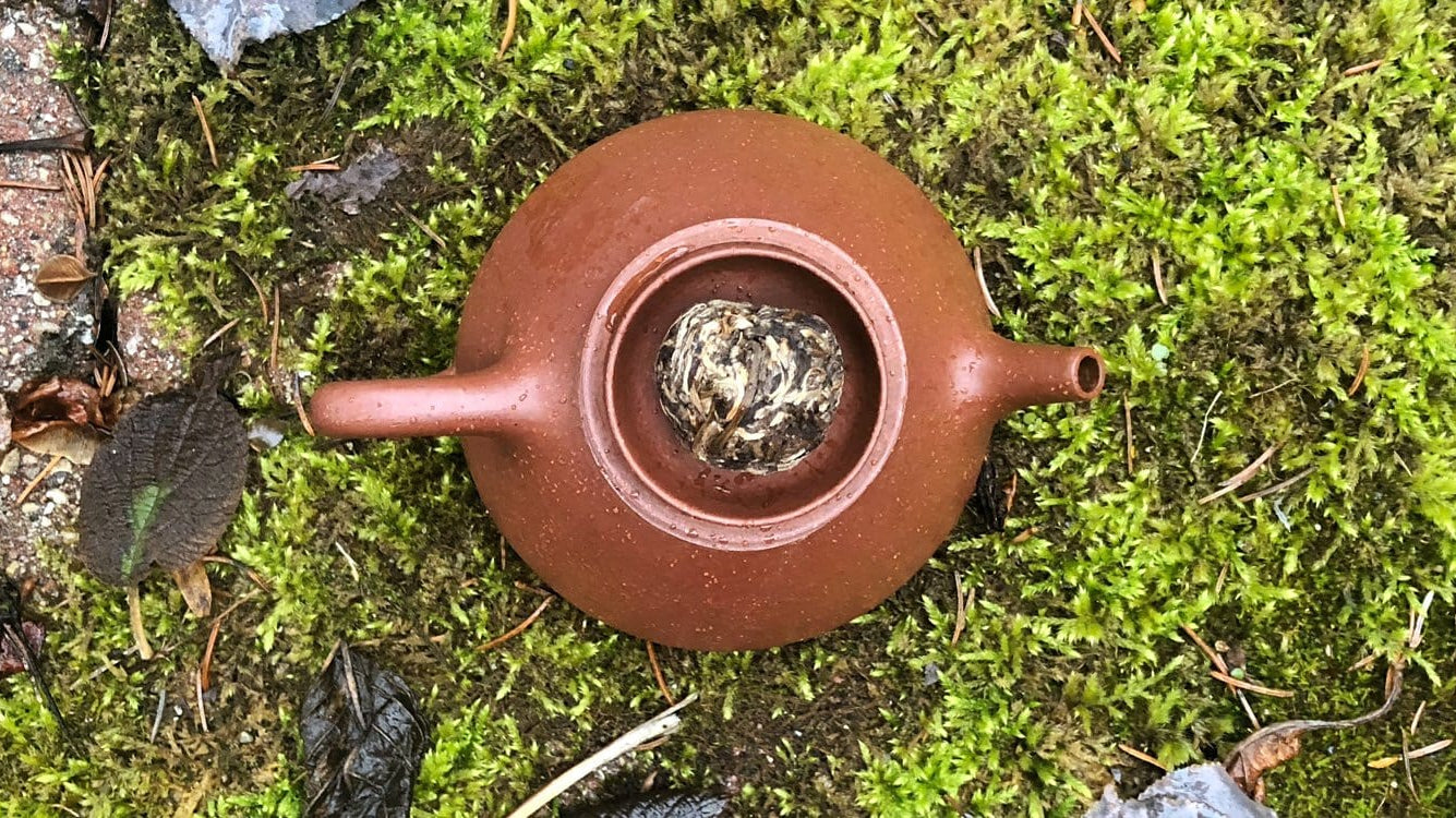 Spring Festival Break 2019