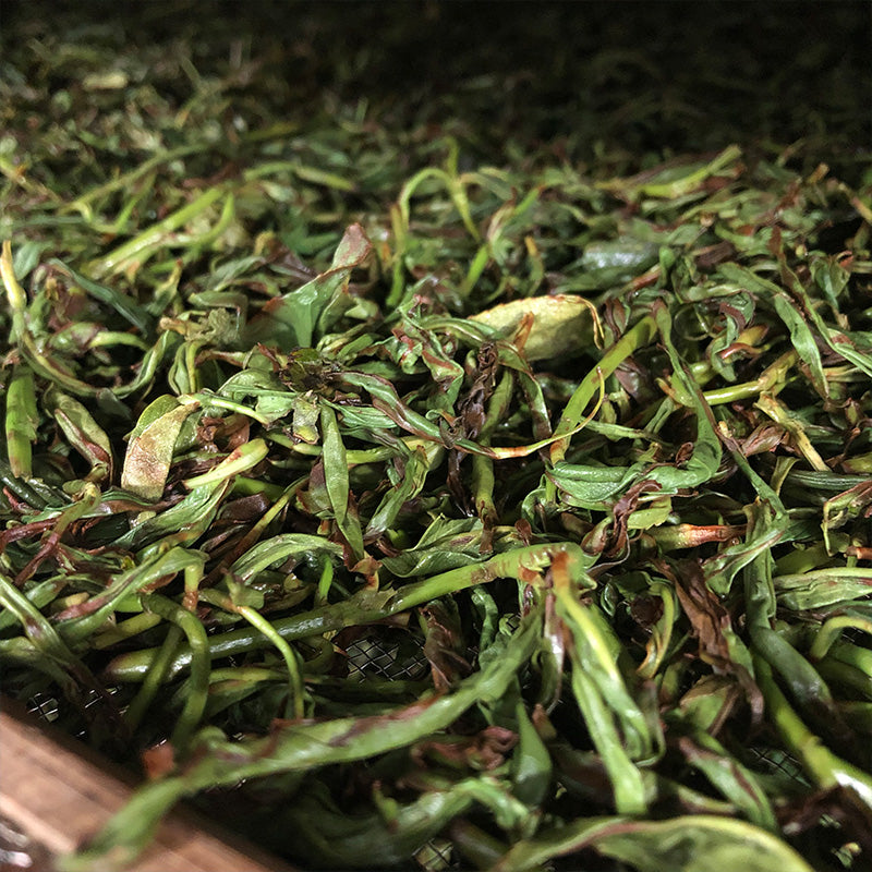 What Is Oolong Tea? A Beginner's Guide