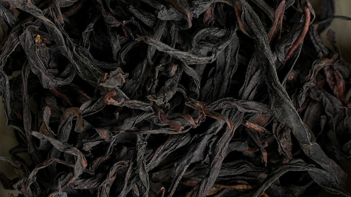 Exploring the Spectrum of Oolong: From Floral to Roasted Perfection