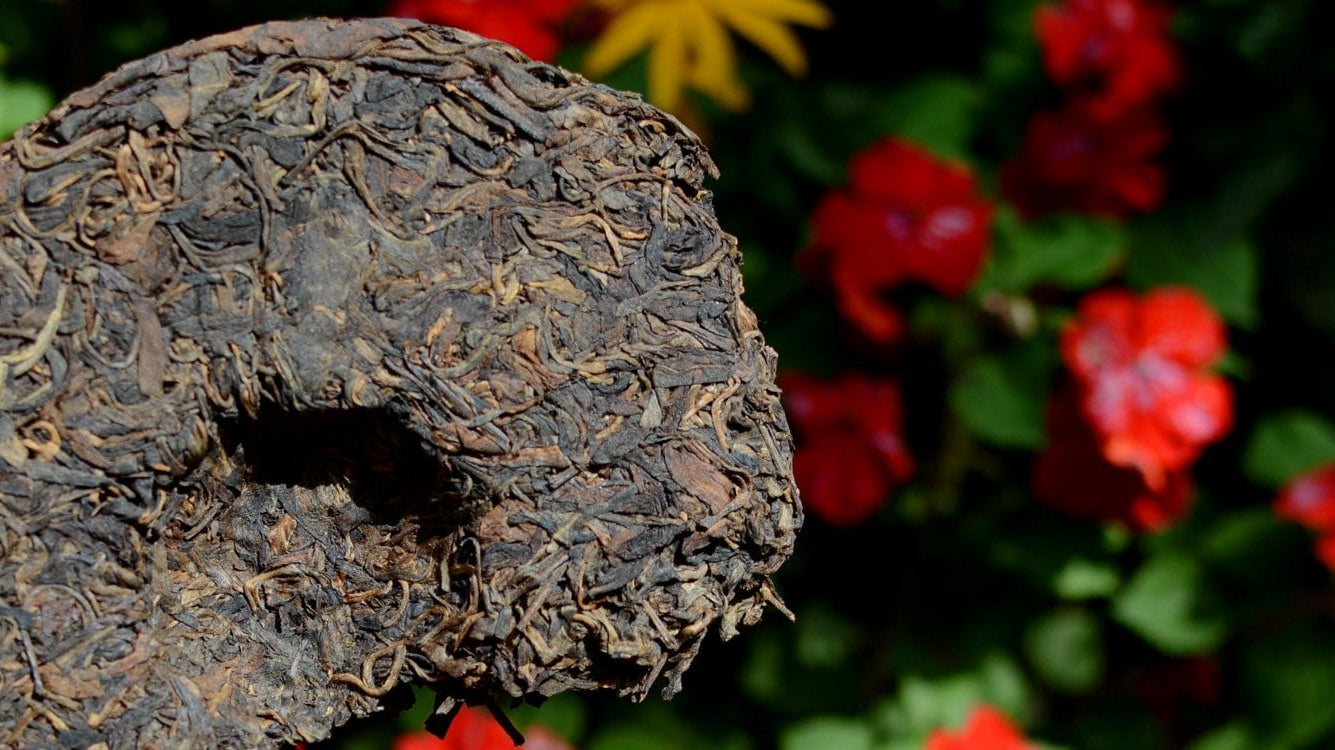 Back 2 School Sale - $10 Off Shipping