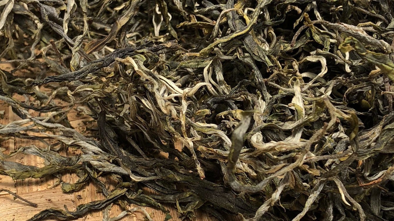 Free Maocha Weekend!