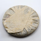 Raw Puer Tea - 2009 Yiwu Raw Puer -