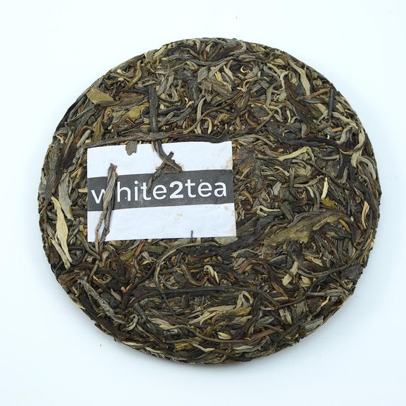 Raw Puer Tea - 2016 Bosch -