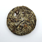 White Tea - 2016 Nightlife -