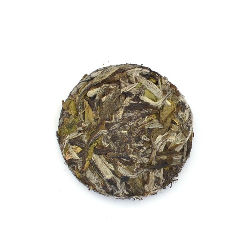 - White Tea Basics -