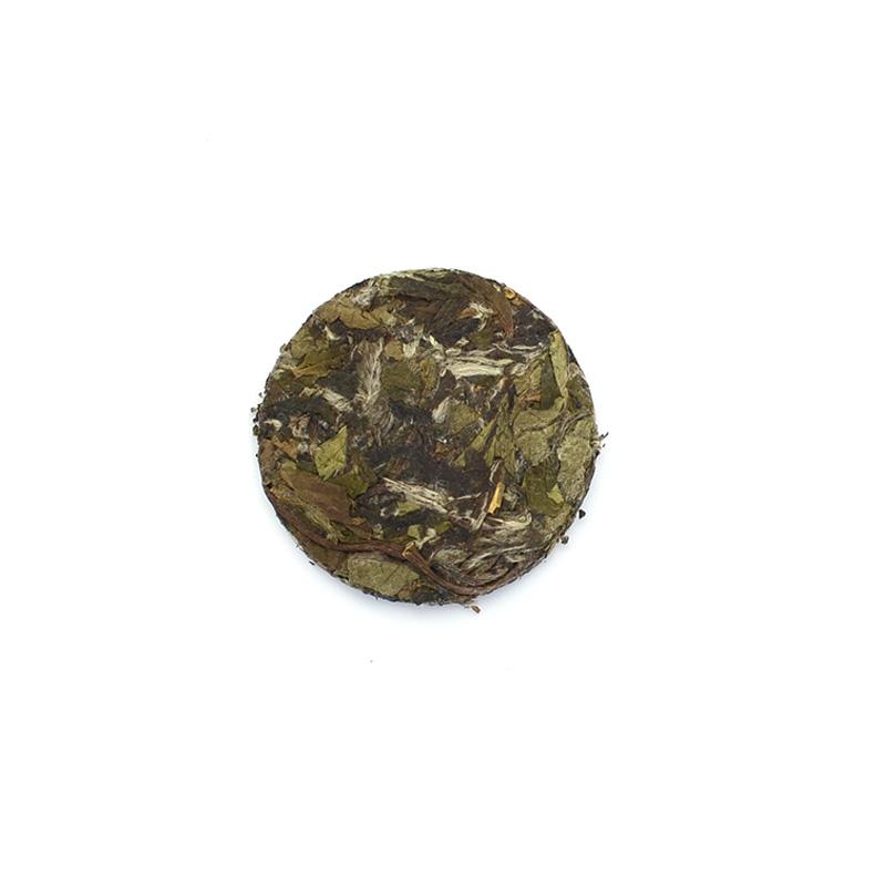 - White Tea Basics -