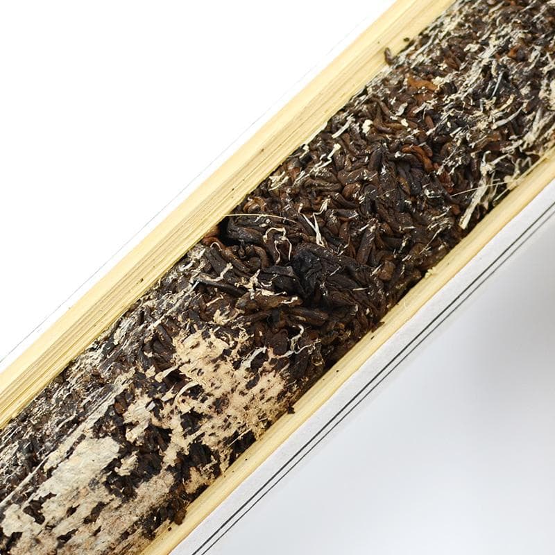 Ripe Puer Tea - 2019 Bamboo Shu -