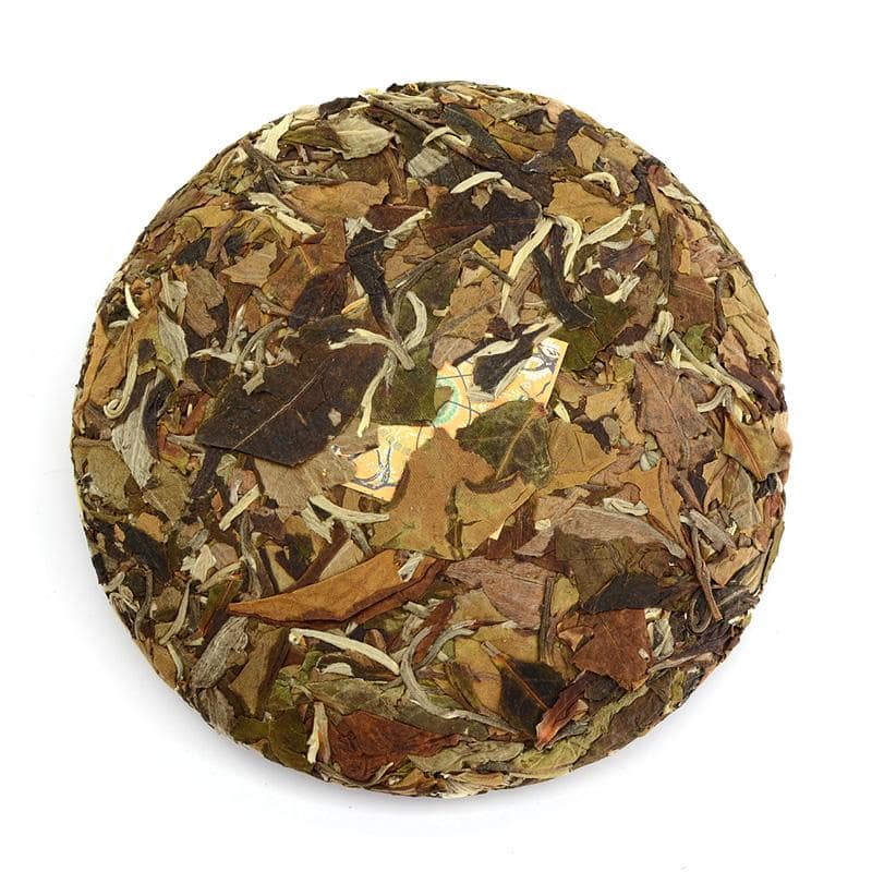 White Tea - 2019 Conversation Pt.2 -