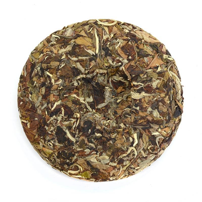 White Tea - 2019 Conversation Pt.2 -