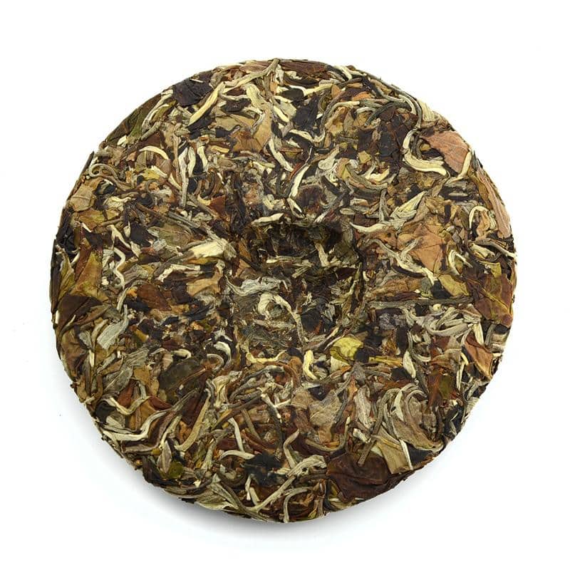 White Tea - 2019 Nightfall -