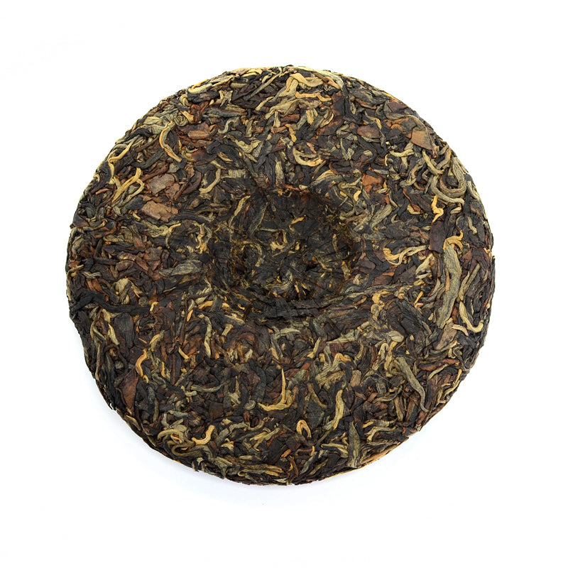 Black Tea - 2020 Astro Red -