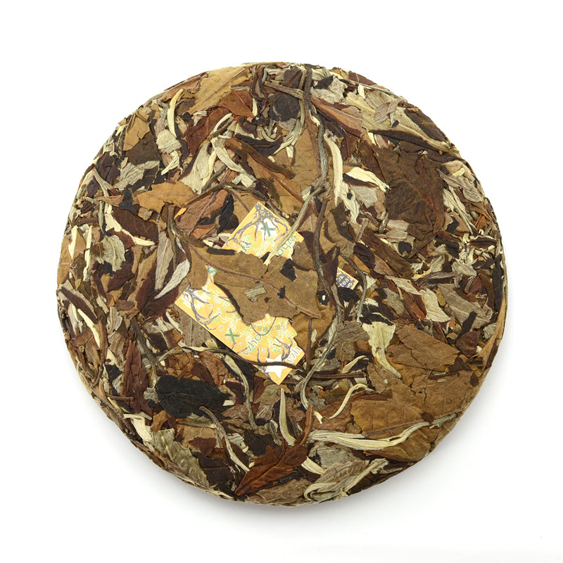 White Tea - 2020 Conversation Pt.2 -