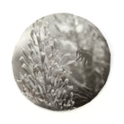 White Tea - 2020 Conversation Pt.2 -