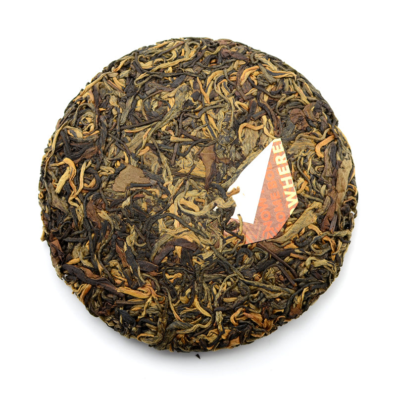 Black Tea - 2020 Fox Down -