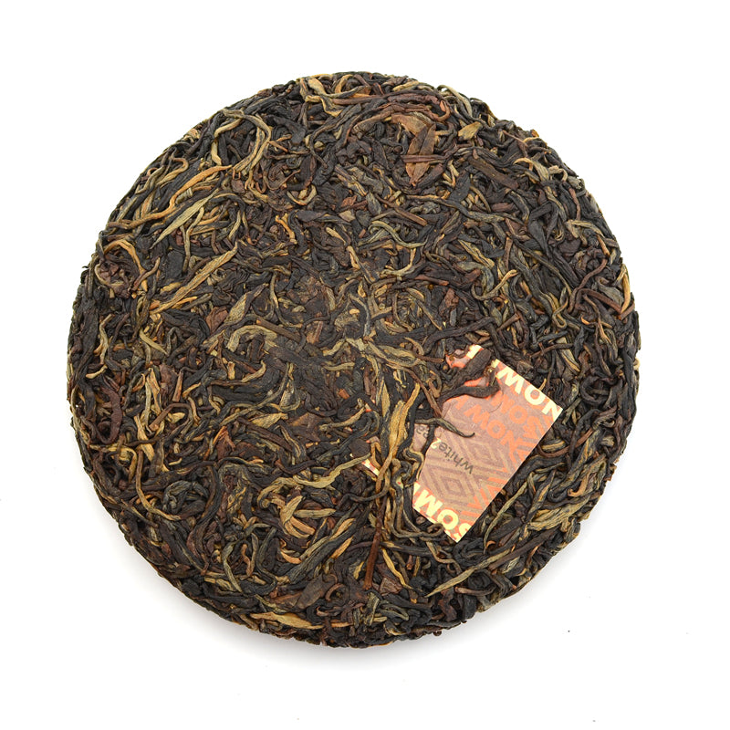 Black Tea - 2020 Horse Girl Clique -