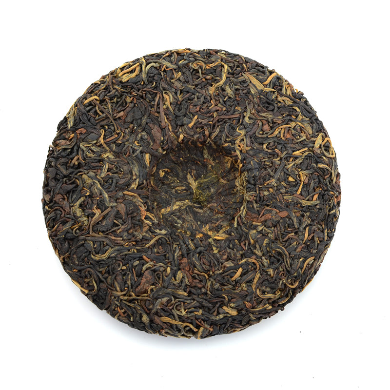 Black Tea - 2020 Horse Girl Clique -