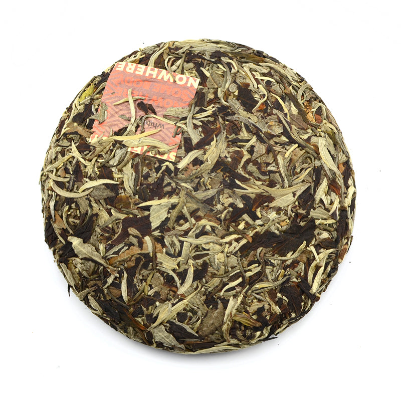 White Tea - 2020 Nightlife -