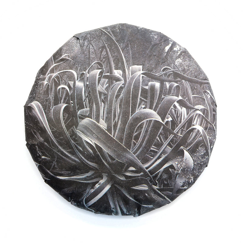 Black Tea - 2020 Sentinel -