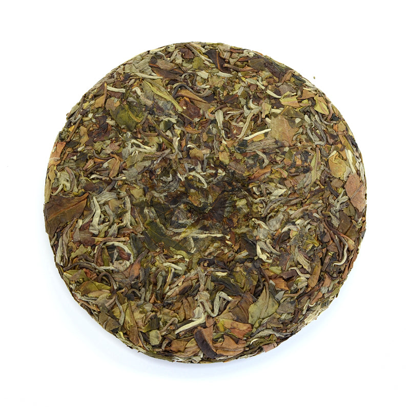 White Tea - 2020 Turtle Dove -