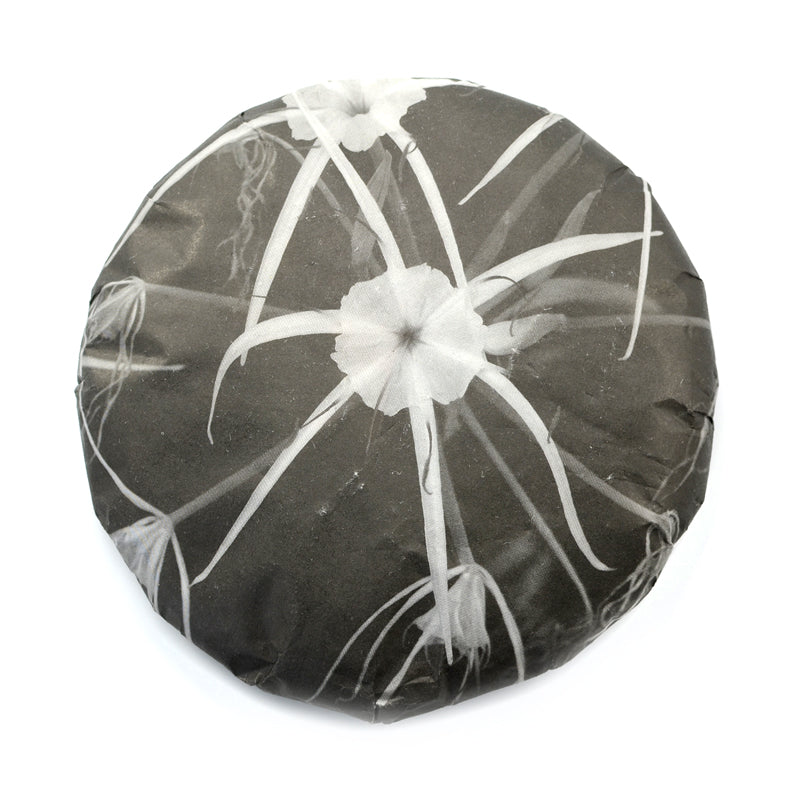 White Tea - 2020 Marion -