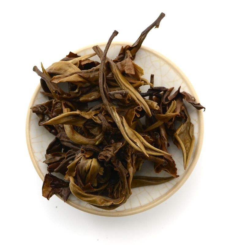 White Tea - 2020 Tiltshift Mini -