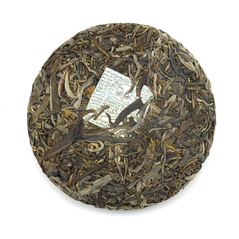 Raw Puer Tea - 2021 Hotline Space Coyote -