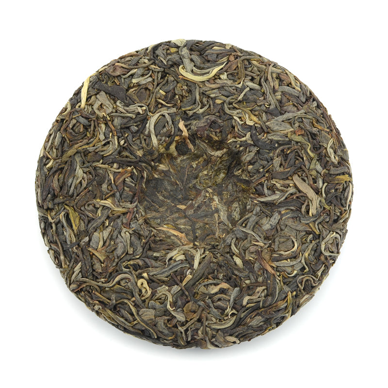 Raw Puer Tea - 2021 Hotline Space Coyote -