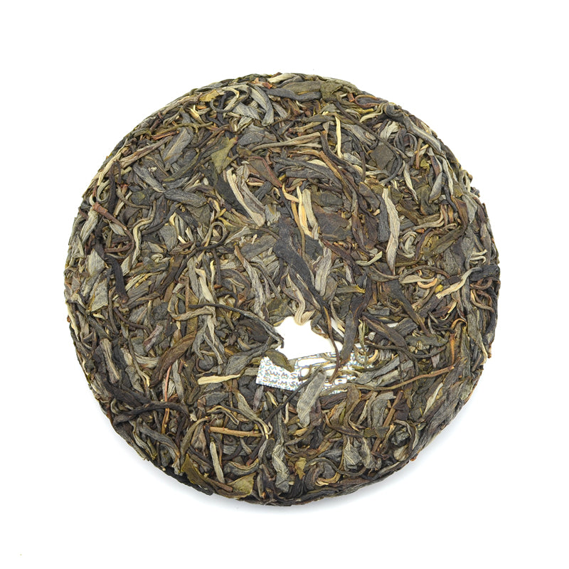 Raw Puer Tea - 2021 Philtre -