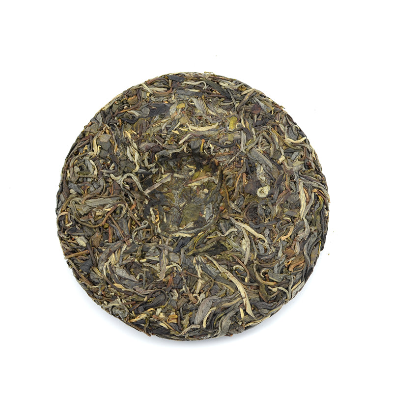 Raw Puer Tea - 2021 Philtre -