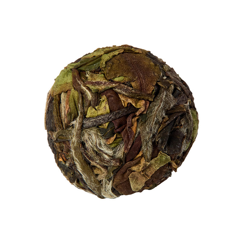 2025 Groove Wax Mini – white2tea