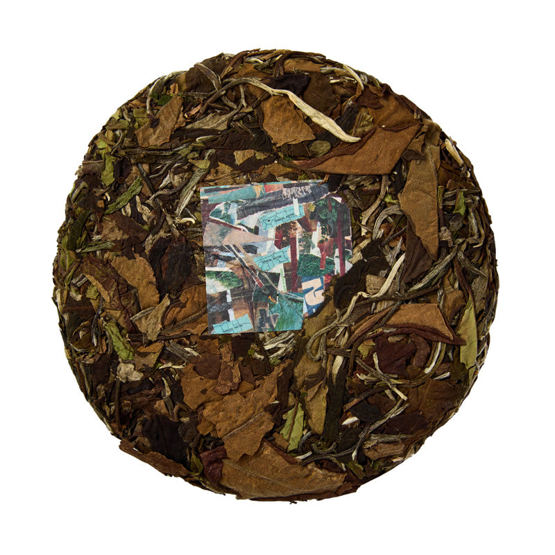 2025 Groove Wax – white2tea