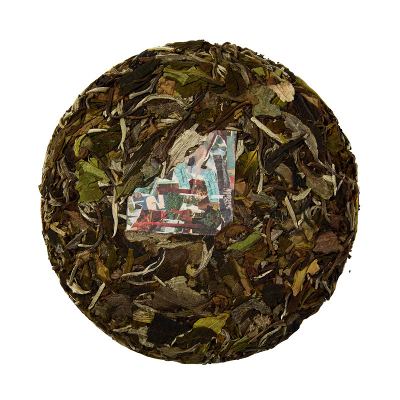 White Tea – white2tea