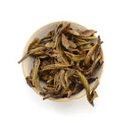 White Tea - 2019 Tiltshift Mini - 