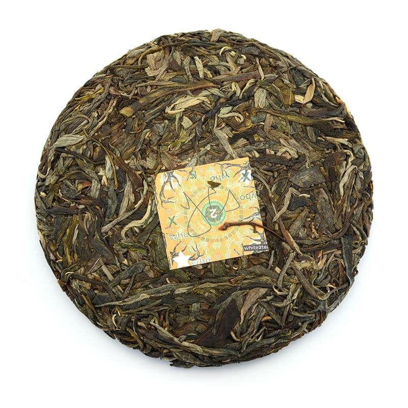 Raw Puer Tea - 2019 both steal boats - 