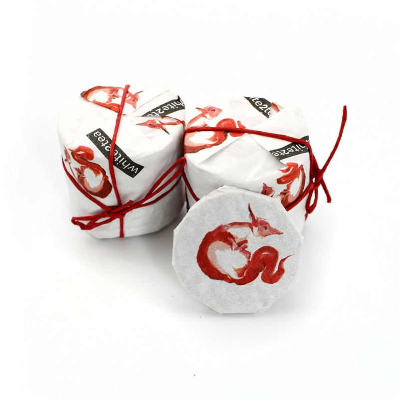 2020 Fox Down Mini – white2tea