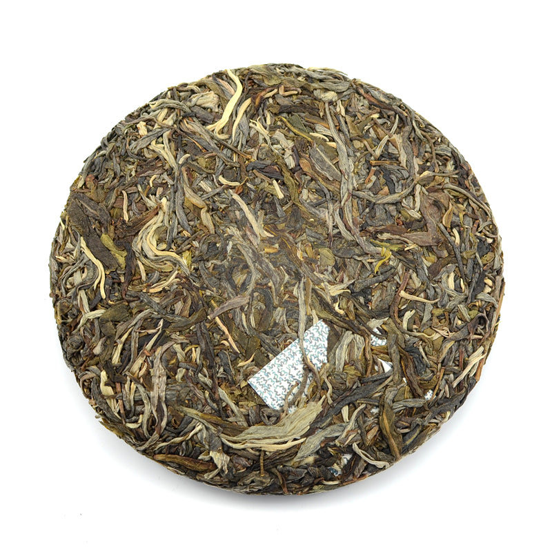 2021 Bosch – white2tea