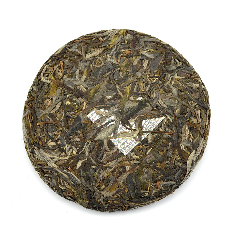 Raw Puer Tea - 2021 is a gift - 