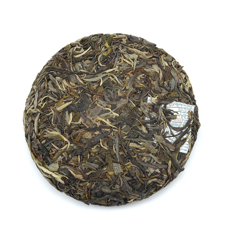 Raw Puer Tea - 2021 The Thing Is - 