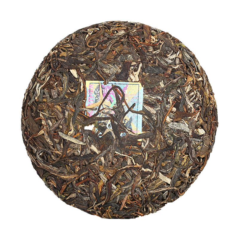 2022 Hypnotrain – white2tea