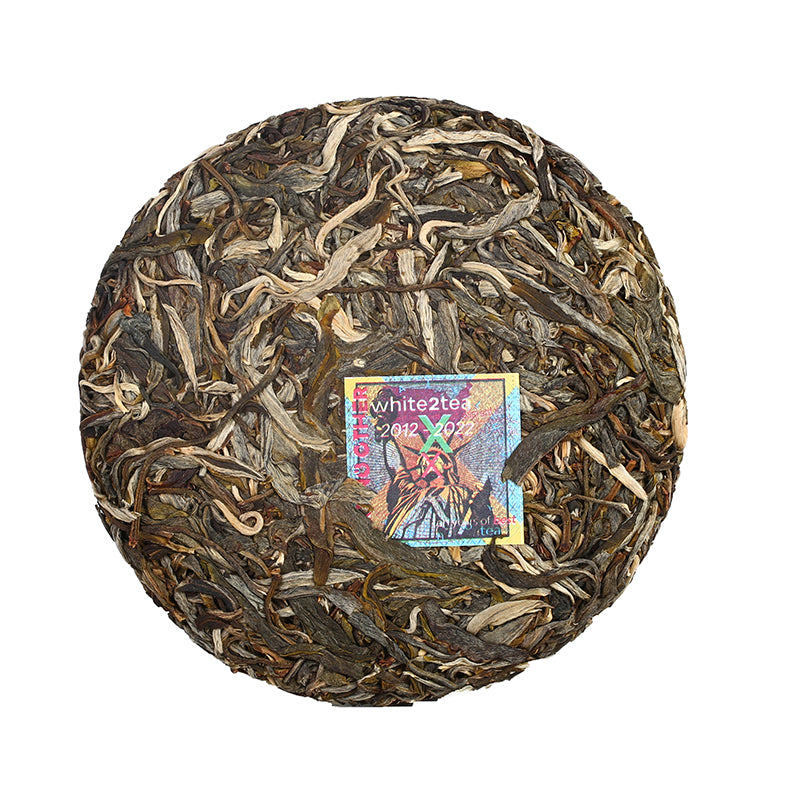 2022 Moon Bear – white2tea